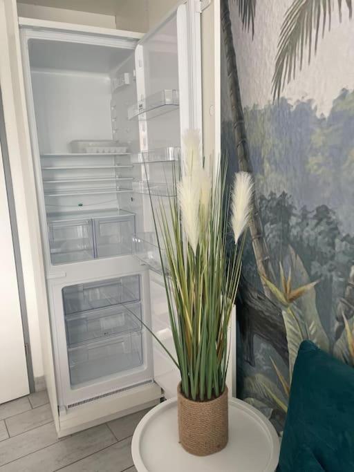 Appart Frontignan Sur La Plage, Piscine, Wifi, Tv, Netflix Exterior photo